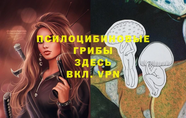 СК Богданович