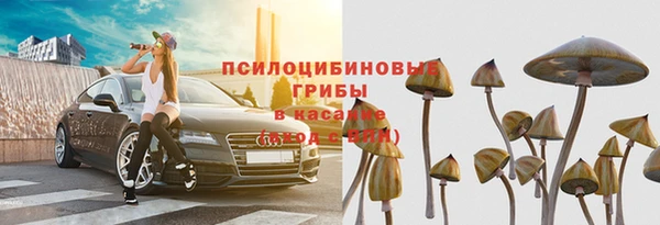 СК Богданович