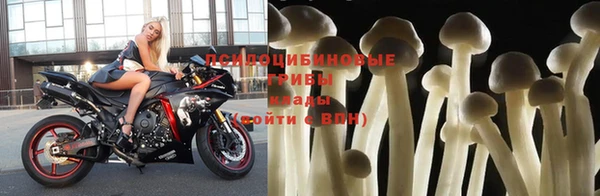 круглые Бронницы