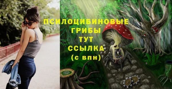 прущая мука Богородск