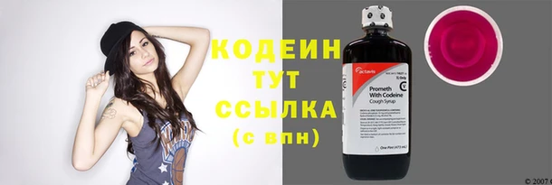 спиды Бородино