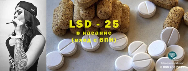 спиды Бородино