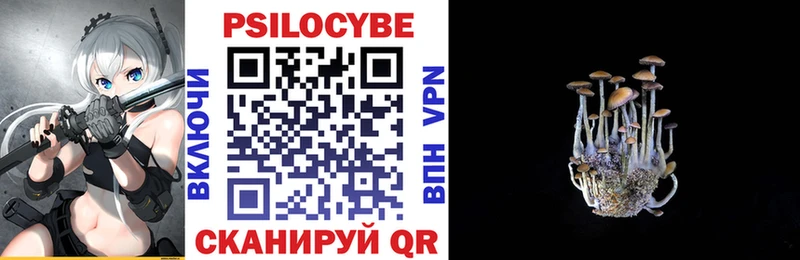 Галлюциногенные грибы Psilocybine cubensis  Купить где  Кувандык 